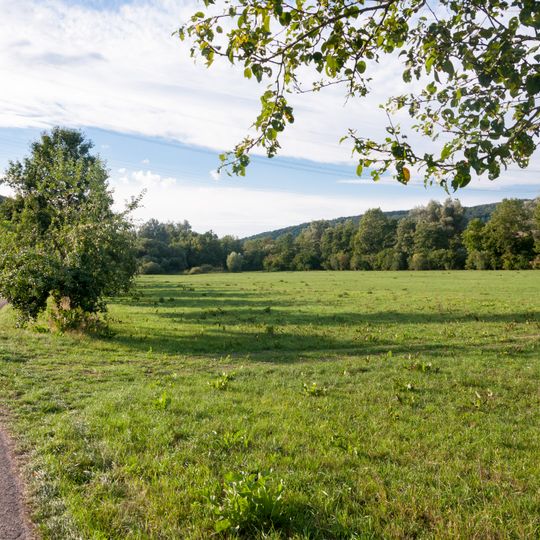 Riedhölzle und Jagstaue