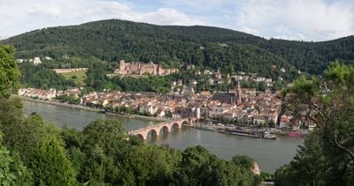 The view 1