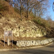 Erdgeschichtlicher Aufschluss an der Grenze Muschelkalk/Lettenkeuper Nähe Einsteinstraße