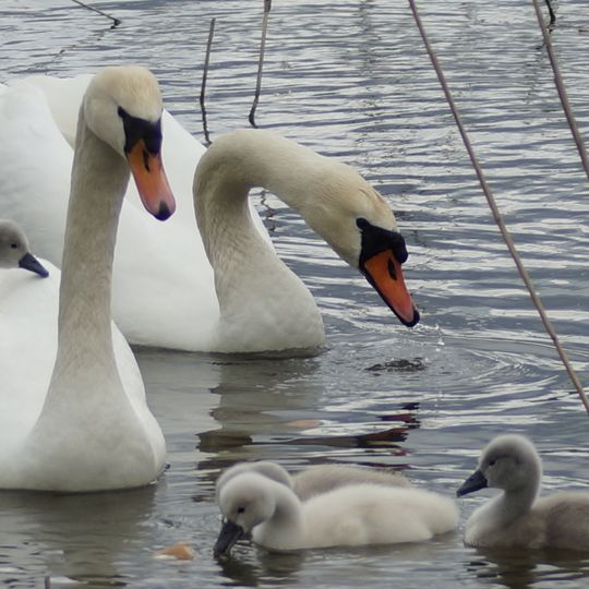 Taubertal in Mittelfranken