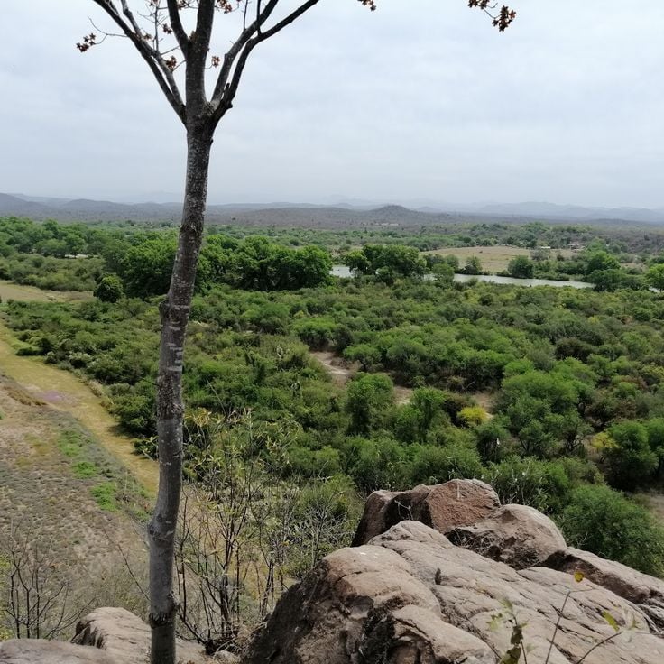 Zona Arqueológica Cerro de la Máscara