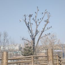 太原动物园-南门