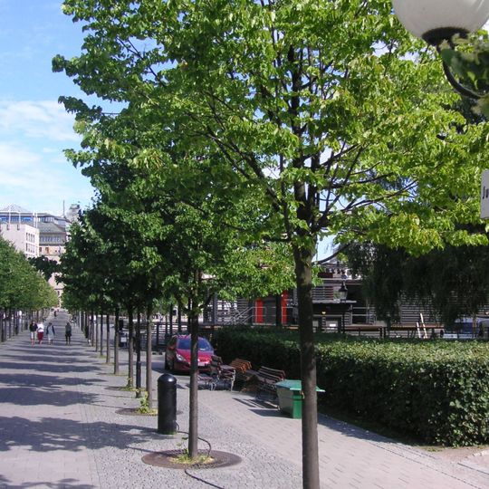 Jussi Björlings allé