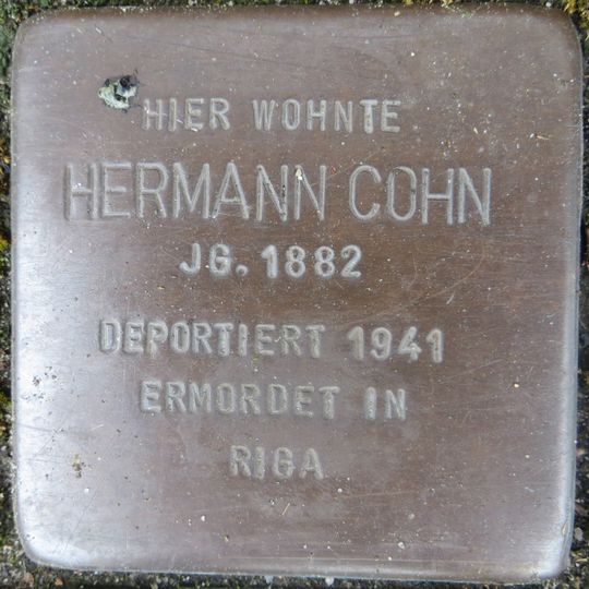 Stolperstein en memoria de Hermann Cohn