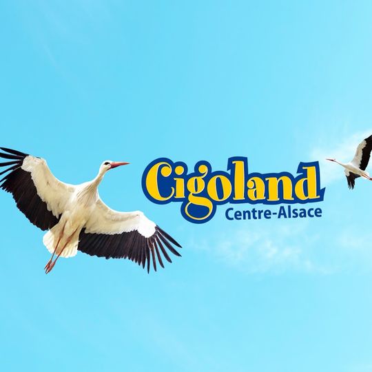 Cigoland