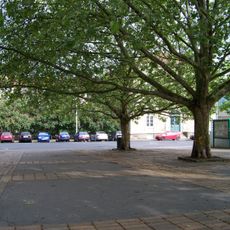 Památné platany v Podmoklech