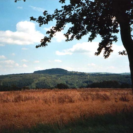 Špičák u Krásného Lesa