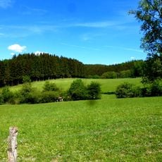 LSG-Talraeume Volkenborn suedlich Wallen