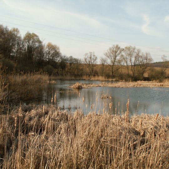 Žebětín pond