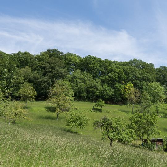 Naturschutzgebiet Wasserschöpp bei Unter-Hambach