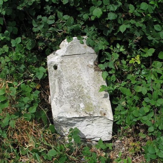 Milestone, Holt Down Plantation; 75m E of Butser House