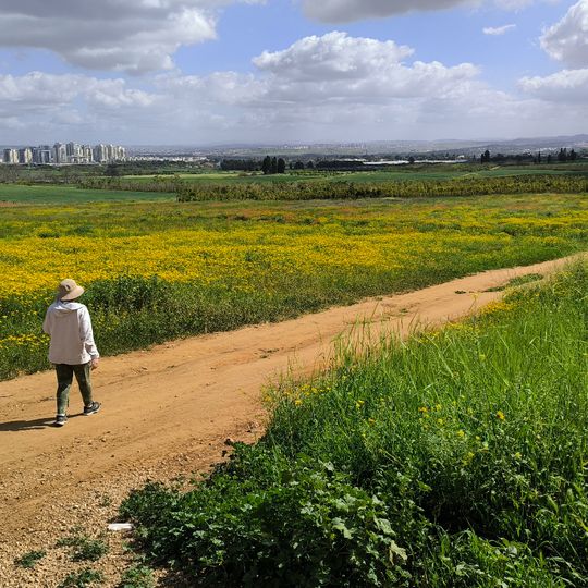 Collina, punto di vista panoramico, montagna, vetta