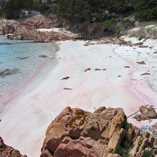 Spiaggia rosa