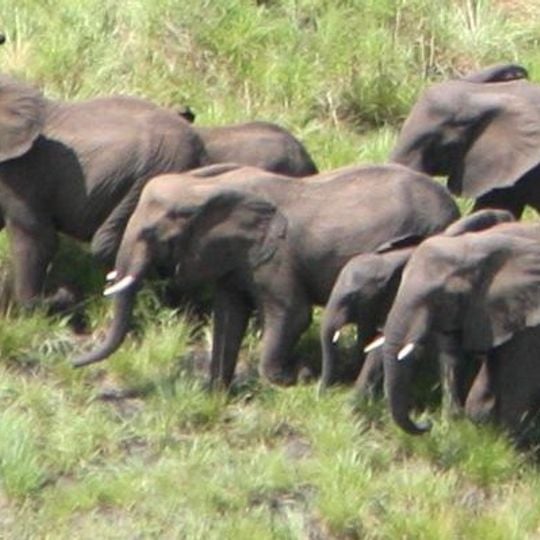 Boma National Park