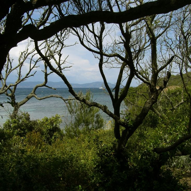Nationalpark Port Cros