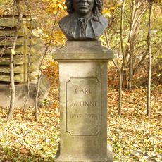 Bust Carl von Linné