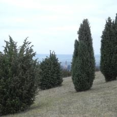Mittelberg bei Hofgeismar