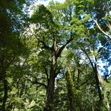 Melba Gully State Park