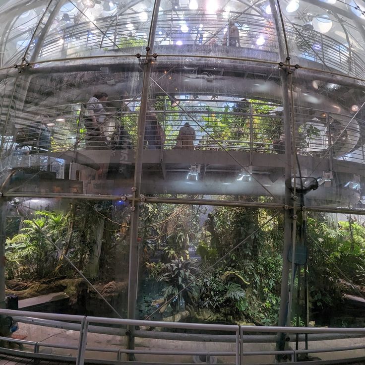 California Academy of Sciences