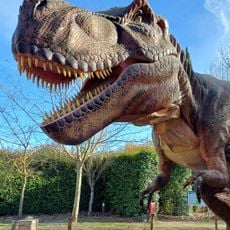 Dinopedia Parc Provence