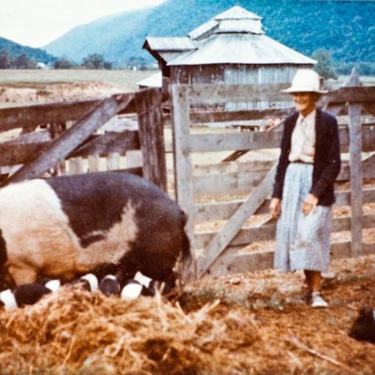 Kuykendall Polygonal Barn