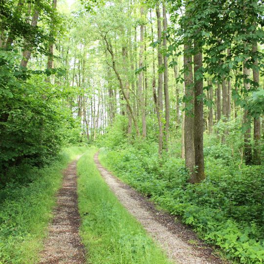 Schutz von Landschaftsteilen im Ortsteil Illbach, Gemeinde Wallkofen des Landkreises Mallersdorf