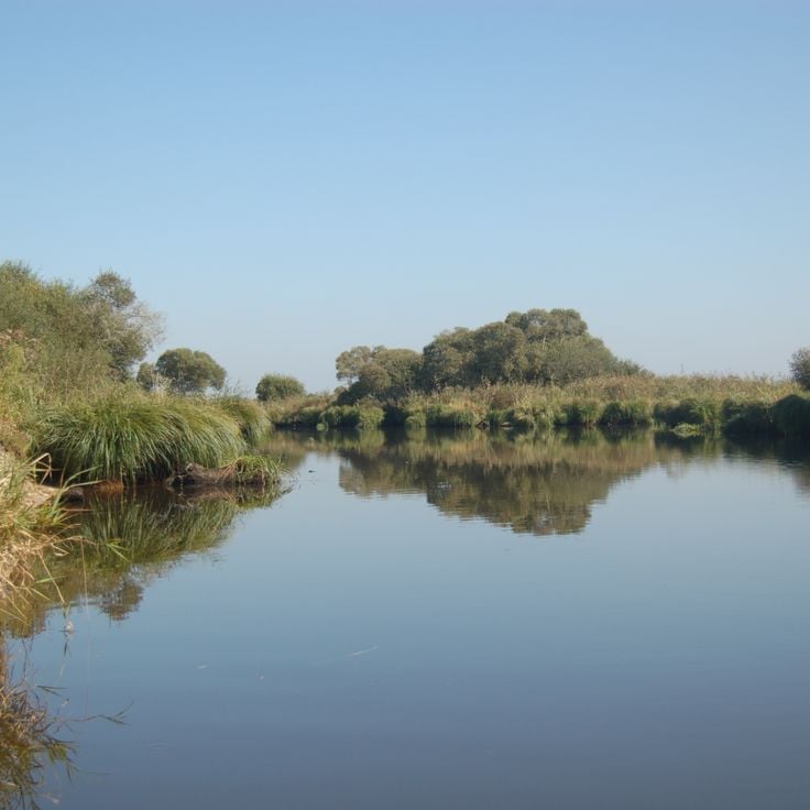 Parco Naturale Regionale della Brière