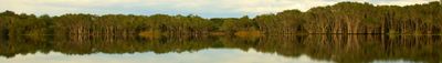 Panoramic View 1