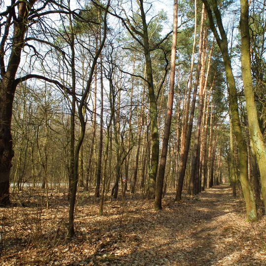 Cmentarz choleryczny na Krzyżownikach w Poznaniu