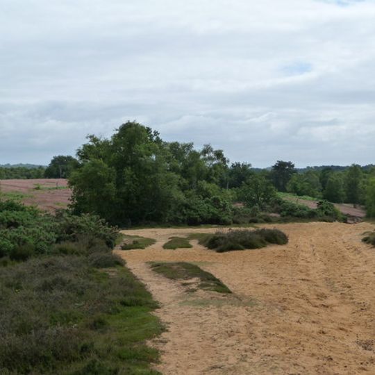 Kingsley Common