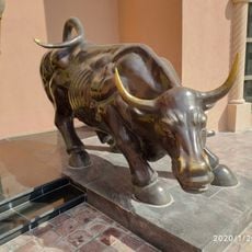 Bull