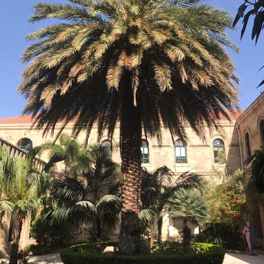 Carmelite monastery in Bat Galim