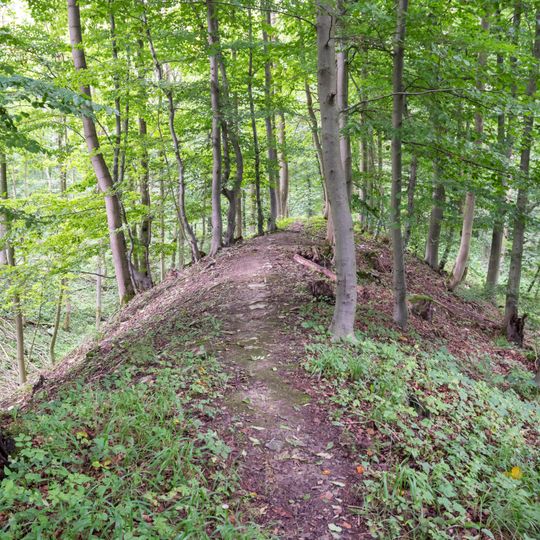 Wallburg Gellinghausen