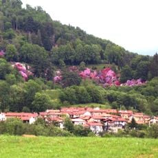 Parco Burcina Natural Reserve