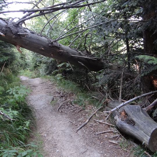 Rezerwat przyrody Madohora