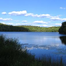Ringwood State Park