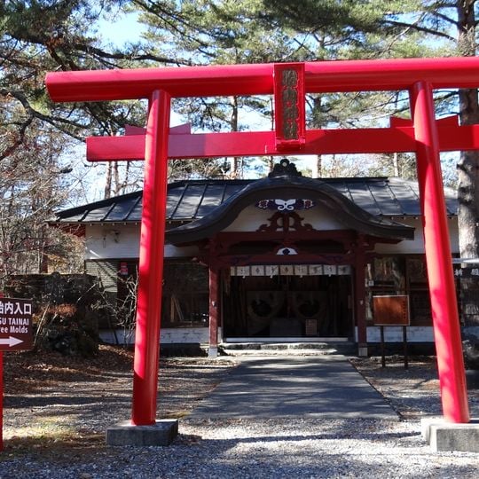 Funatsu Lava Tree Molds