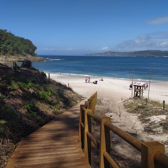 A Area das Figueiras