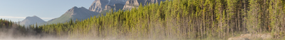 Vista panoramica 1