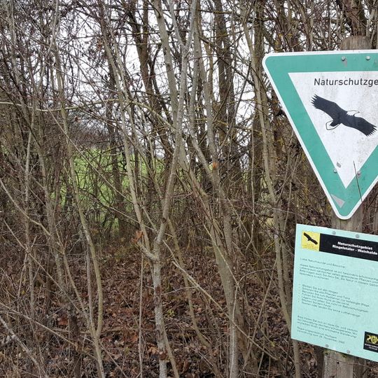 Ringelstaler-Weinhalde