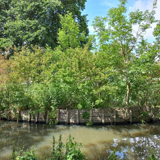 Drie schepen van Bierman