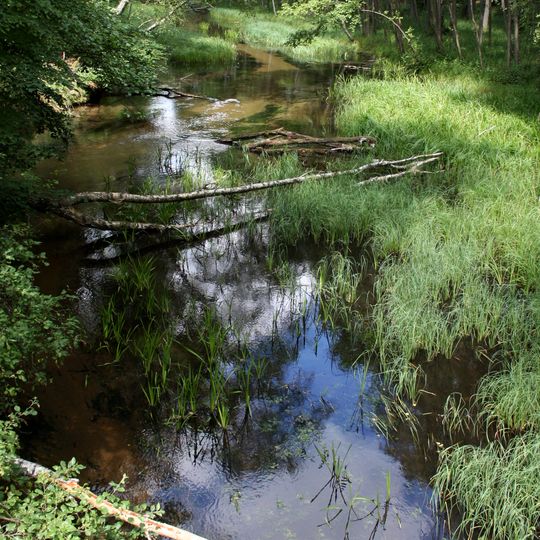 Rezerwat przyrody Dolina Kulawy