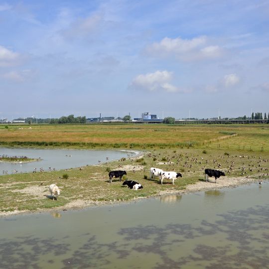 Polders