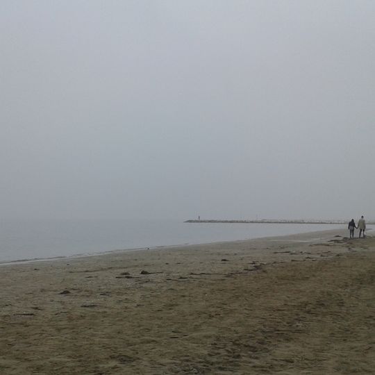 Lido di Venezia: biotopi litoranei