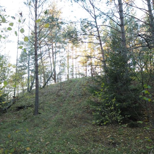 Bogutiškė hillfort