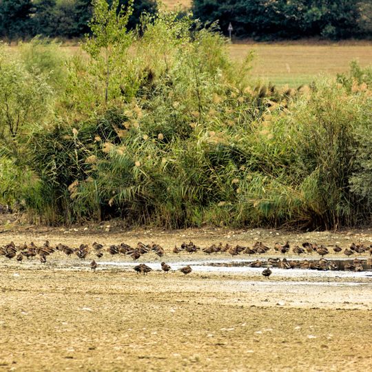 Area naturale protetta di interesse locale Gabbianello-Boscotondo