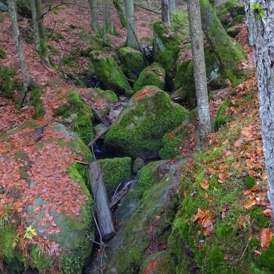 Rhätschluchten westlich Bayreuth