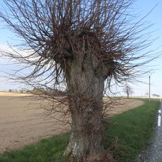 Kříž u silnice na Spetice