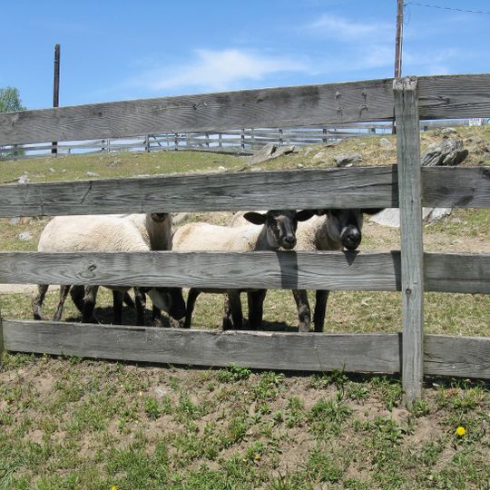Nevins Farm and Equine Center