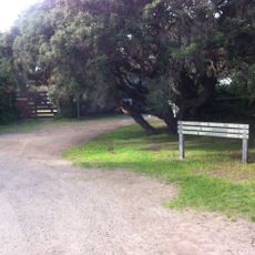 Collins Settlement Site